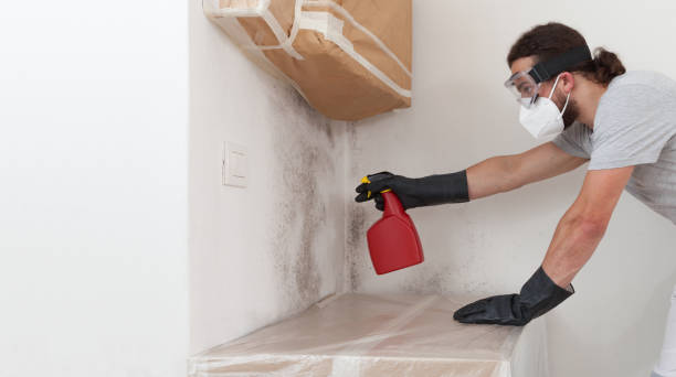 Professional Crawl Space Mold Remediation technician working in La Grange, KY